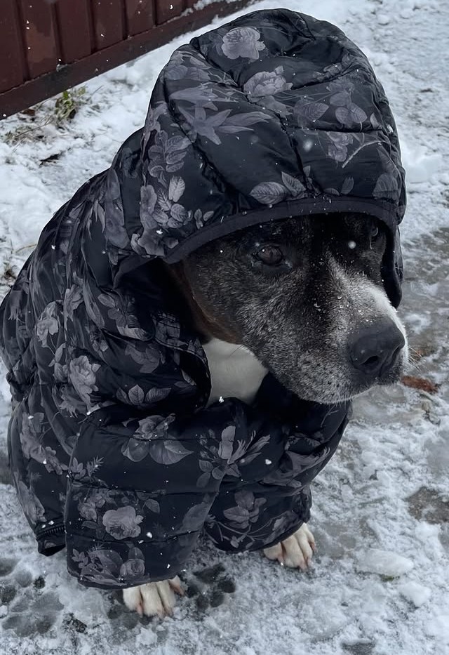 Барни у зимској јакни